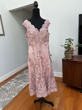NWT Elegant Pink Lace Dress